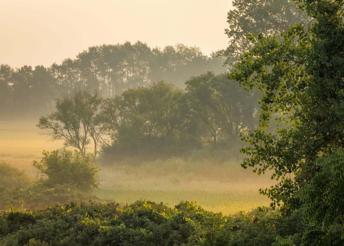 Meridian Morning Brief — Mar 28