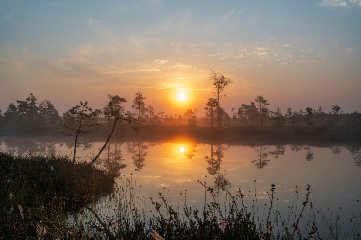 Meridian Morning Brief — Apr 4