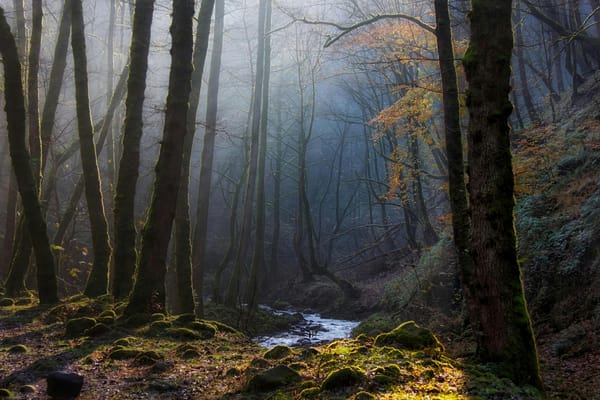 Meridian Afternoon Brief — Mar 30