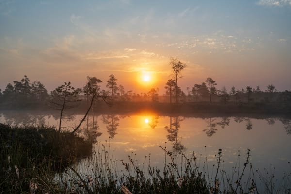 Meridian Morning Brief — Apr 4