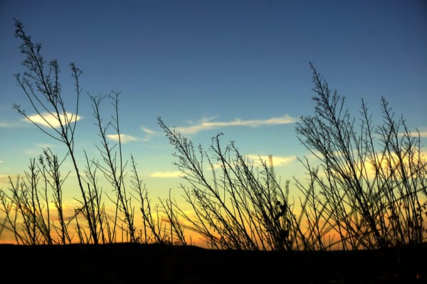 Meridian Evening Brief — Apr 7