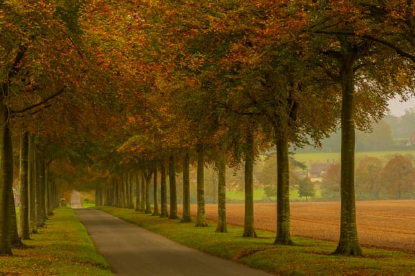 Meridian Afternoon Brief — Apr 7