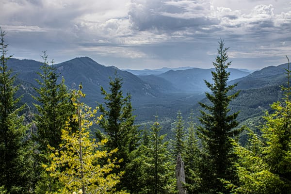 Meridian Afternoon Brief — Apr 8