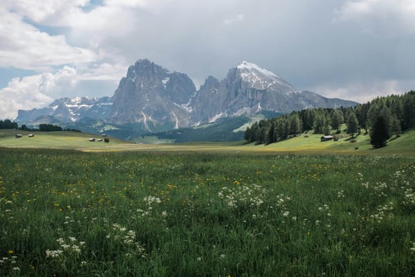 Meridian Afternoon Brief — Apr 13